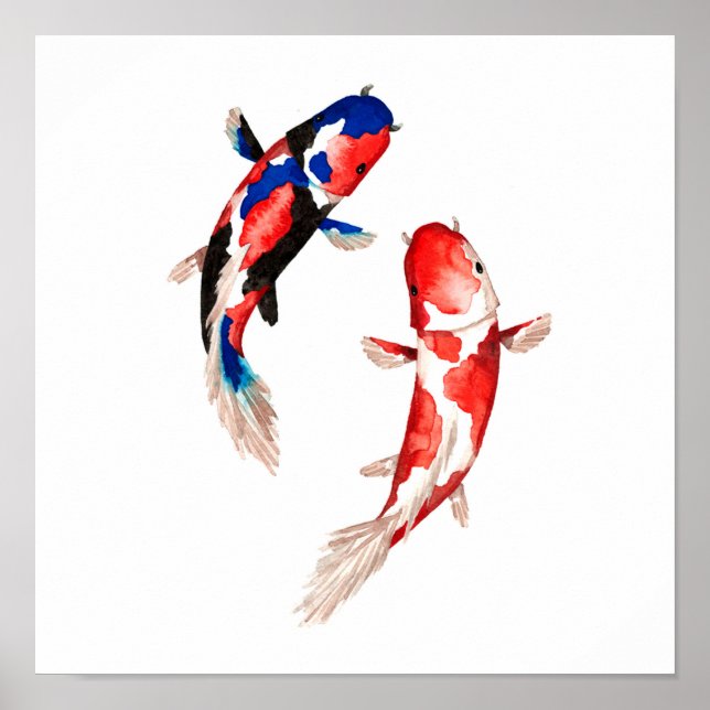 Póster Red Koi Fish (Frente)