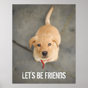 Póster Red Labrador Puppy
