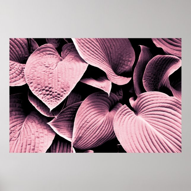 PÓSTER RED LEAFED PLANT (Frente)