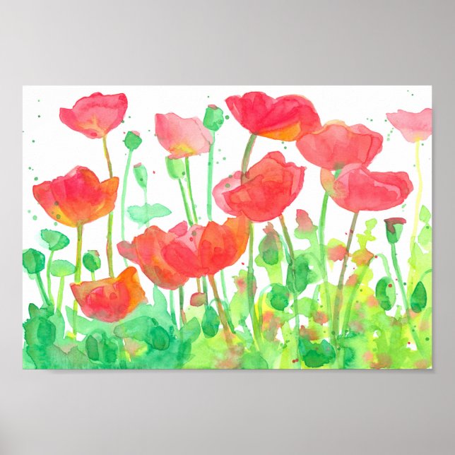 Póster Red Naranja Field Poppies Watercolor (Frente)