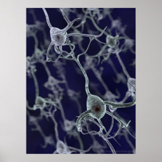 Póster Red neuronal