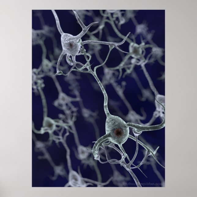 Póster Red neuronal (Frente)