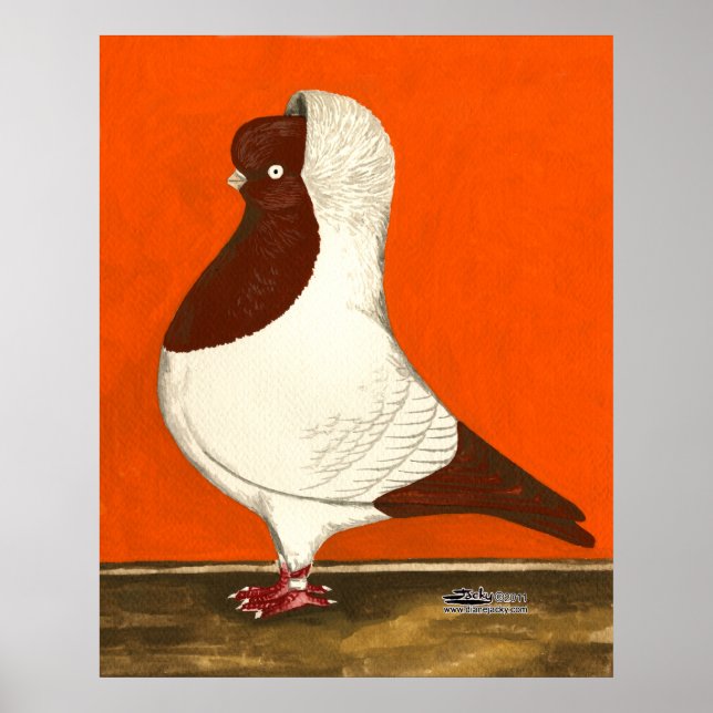 Póster Red Nun Pigeon (Frente)