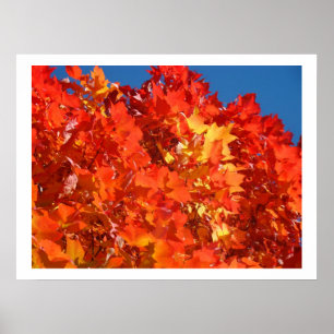 Póster Red Orange Yellow Autumn Leaves art prints Trees