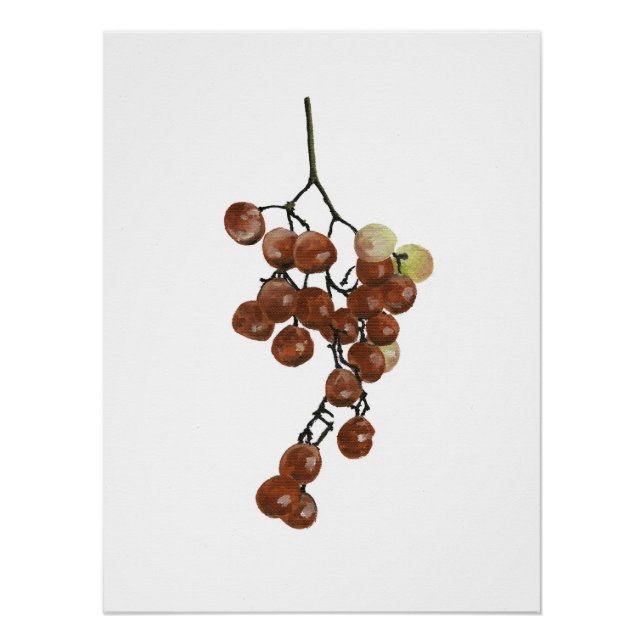 Póster Red Peppercorns - Botanical Print 2 (Anverso)