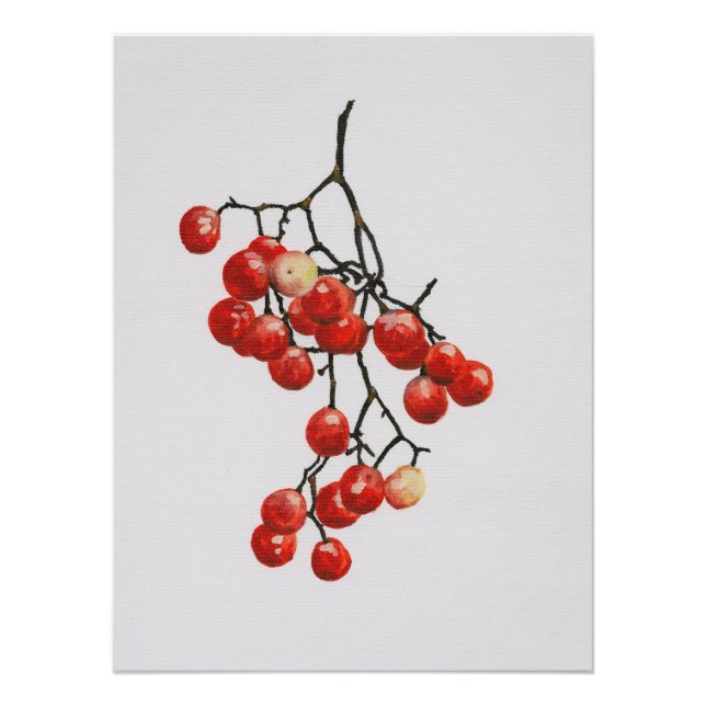 Póster Red Peppercorns - Botanical Study 1 (Anverso)