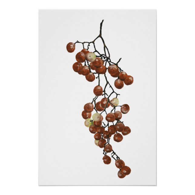 Póster Red Peppercorns - Botanical Study 3 (Anverso)