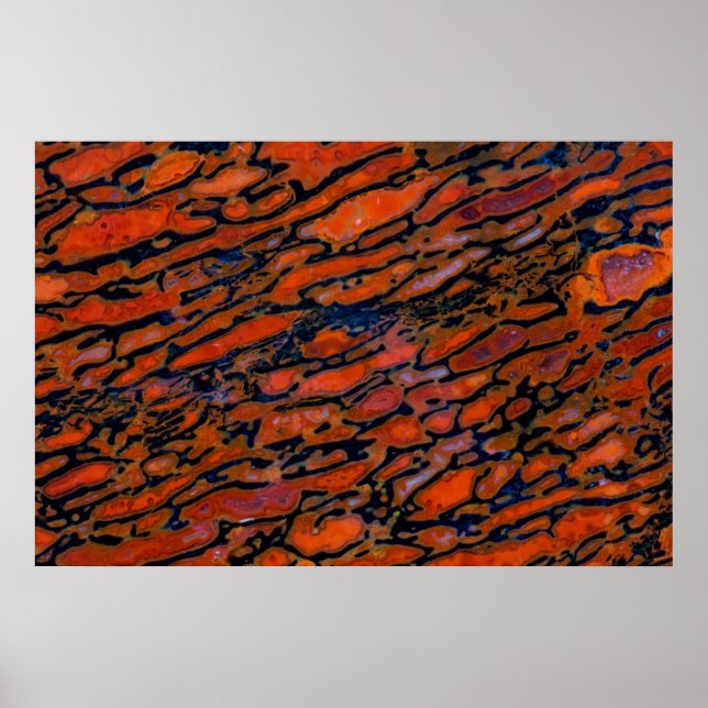 Póster Red Petrified dinosaur (Frente)