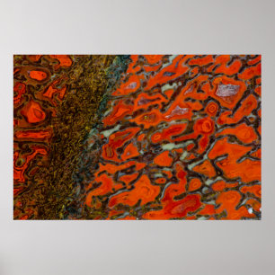 Póster Red Petrified Dinosaur Bone