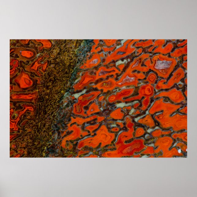 Póster Red Petrified Dinosaur Bone (Frente)