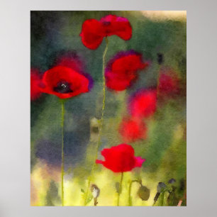 Póster Red Poppies