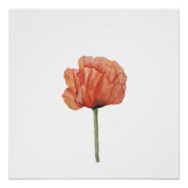Póster Red Poppy Watercolor Botanical Print