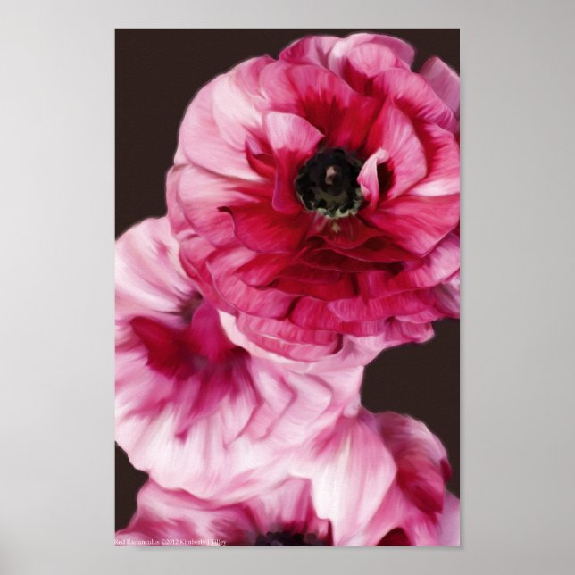 Póster Red Ranunculus (Frente)