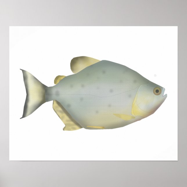 Póster Red Ruby Piranha (Frente)