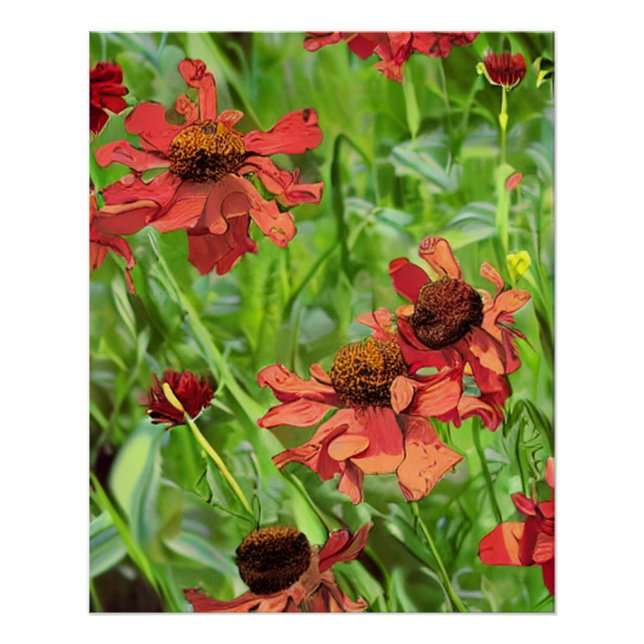 PÓSTER RED RUDBECKIA FLOWERS (Anverso)