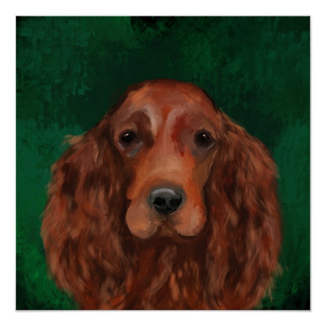 Póster Red Setter de Irlanda (Anverso)