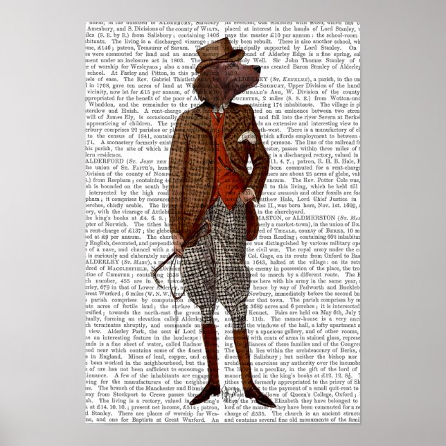 Póster Red Setter Rider Full (Frente)