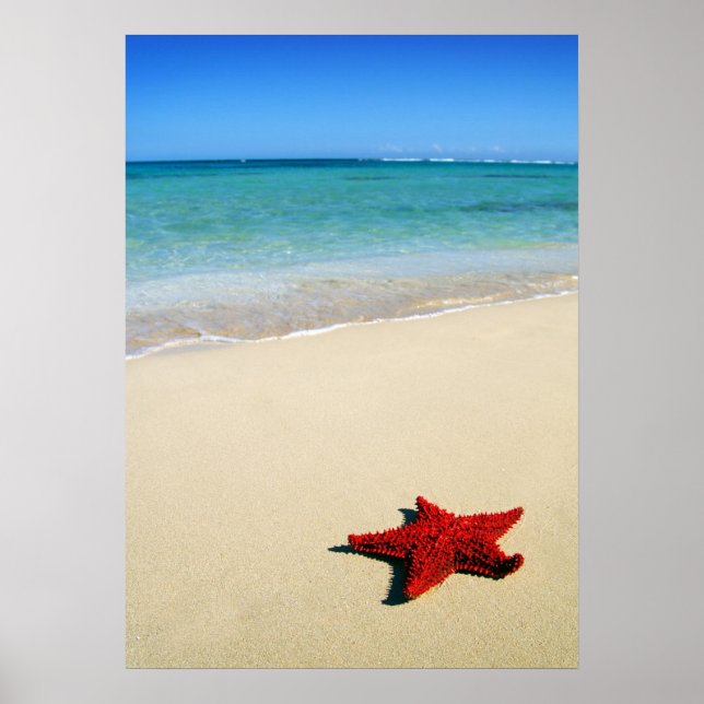 Póster Red Starfish En La Playa De Arena Blanca (Frente)