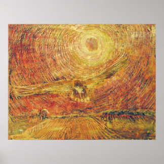 Póster Red Tail Hawk - Viento