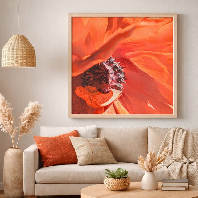 Póster Red Vibrant Poppy Flower Photography by Meggidoo (Red Poppy Flower Home Decor )