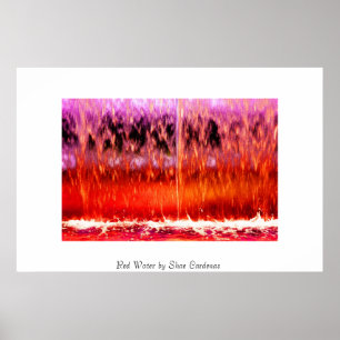 Póster Red Water