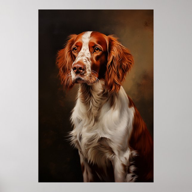 Póster Red y White Setter irlandeses (Frente)