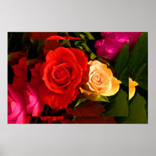 Póster Red Yellow Rose II