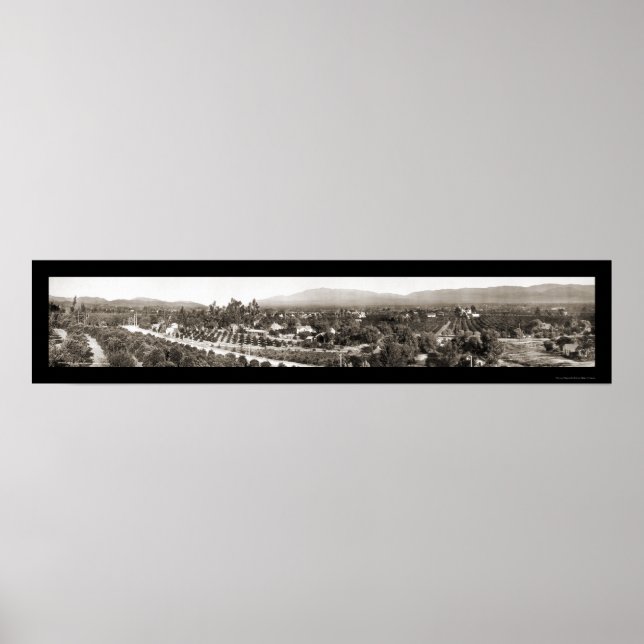 Póster Redlands CA Panoramic Photo 1908 (Frente)