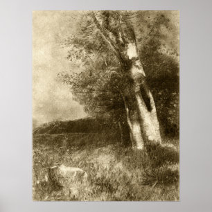 Póster Redon - Paisaje 1880