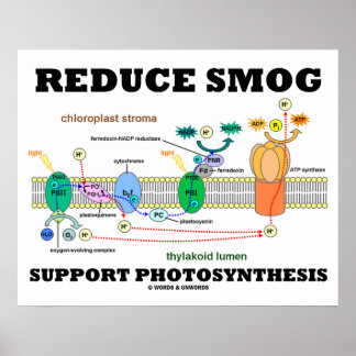 Póster Reducir la compatibilidad con smog Fotosíntesis Li