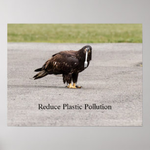 Póster Reducir la contaminación plástica