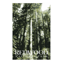 Poster Redwood, impresión de parque nacional