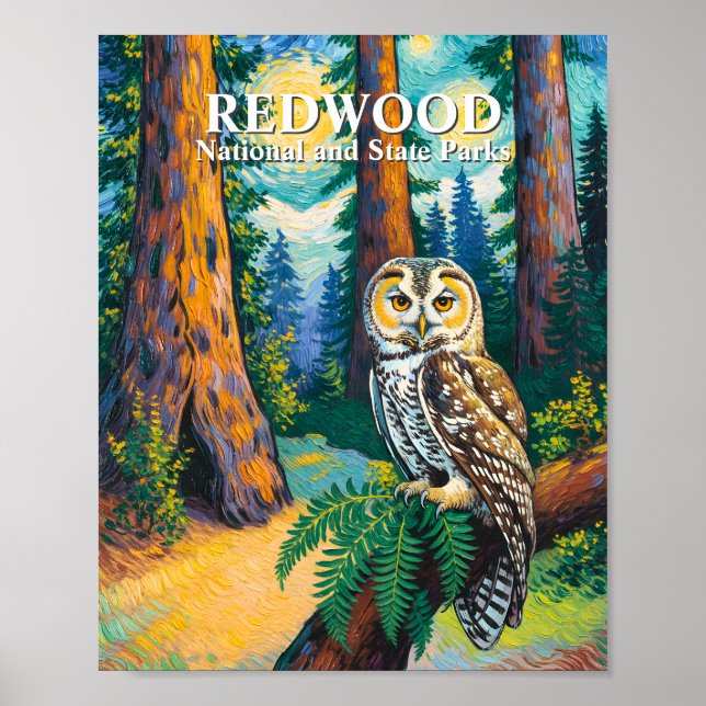 Póster Redwood National Park Forest Owl Van Gogh Style (Frente)