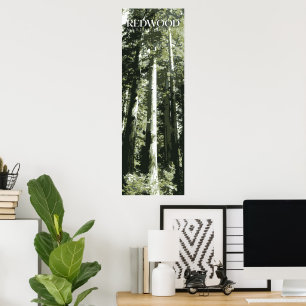 Póster Redwood Print, Poster de parque nacional, 12x36"