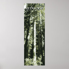 Póster Redwood Print, Poster de parque nacional, 12x36"