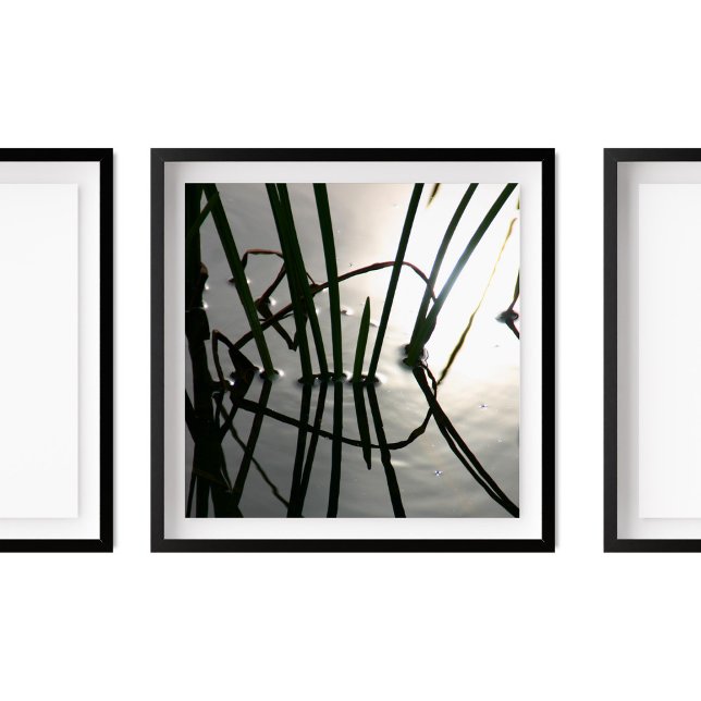 Póster Reeds Reflection Zen Photography (Subido por el creador)