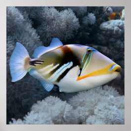 Póster Reef Triggys