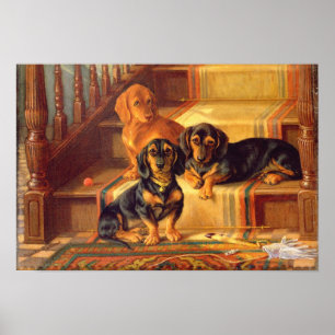 Póster Refinities de moda