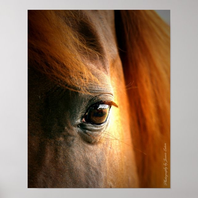 Póster Reflections (Frente)