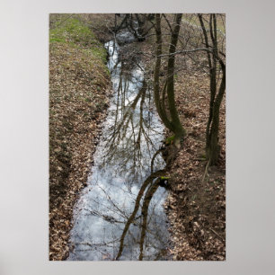 Póster reflejado en flujo