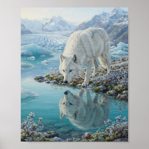 Póster Reflejo de agua del glaciar de la laguna glacial d