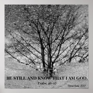 Póster Reflejo de árbol blanco y negro