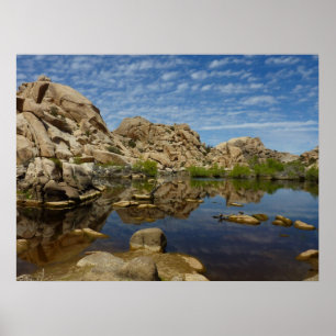 Póster Reflejo de Barker Dam en Joshua Tree I