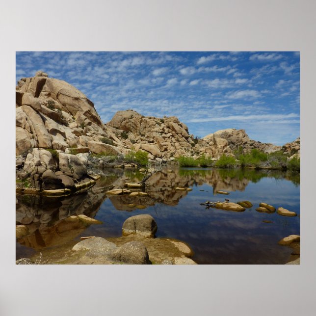 Póster Reflejo de Barker Dam en Joshua Tree I (Frente)
