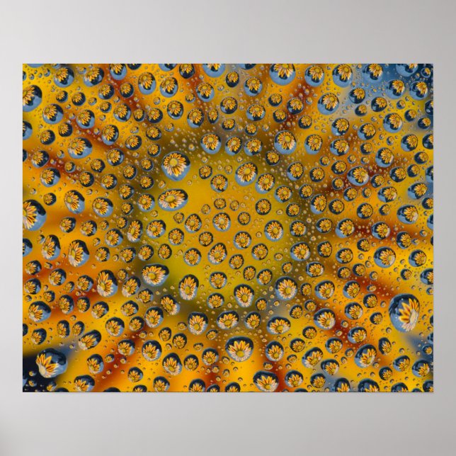 Póster Reflejo de flor en Dew Drop, Ciudad de la Media Lu (Frente)