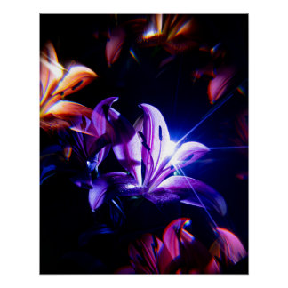 Póster Reflejo de Lirios Rosas con Rayos de Luz