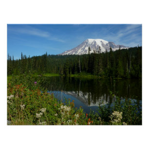 Póster Reflejo del lago del Monte Rainier con flores silv