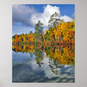 Póster Reflejos de estanque en otoño, Maine