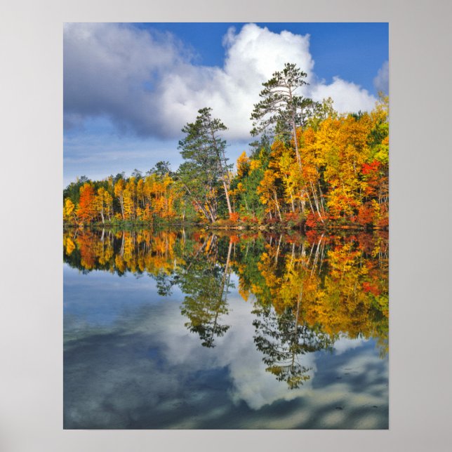Póster Reflejos de estanque en otoño, Maine (Frente)