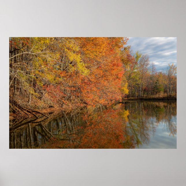 Póster Reflejos de Otoño  (Frente)